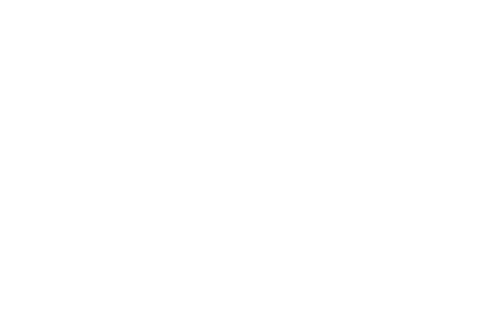 logo Blauw Zwart Staden